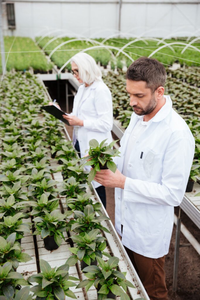 Ingenieros agrónomos examinando un cultivo como parte del programa de agricultura sustentable. Servicios de inteligencia artificial para la agricultura