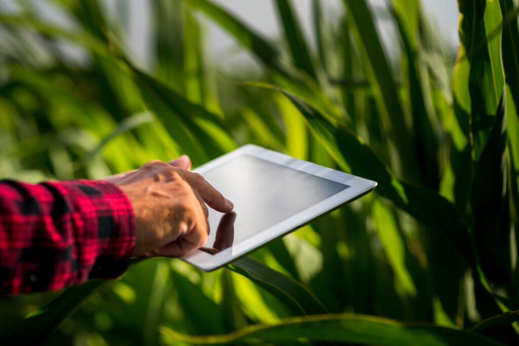 Ingeniero monitorizando un cultivo. Inteligencia artificial aplicada a la agricultura