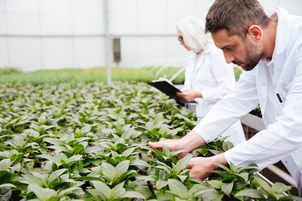 Servicios de inteligencia artificial para la agricultura